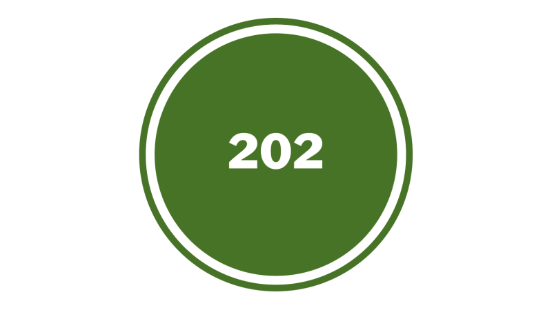 202 Icon