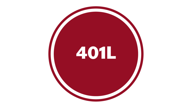 401L Icon