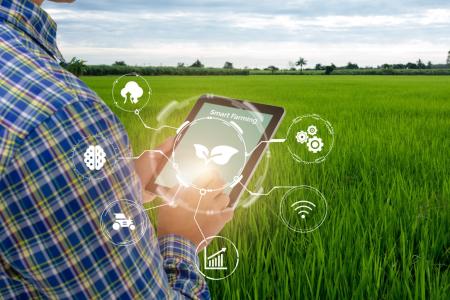 Farmer holding a tablet