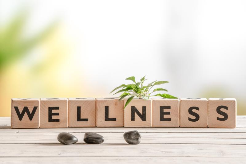 Wooden blocks spelling out the word Wellness with 3 small rocks and a plant in the background.