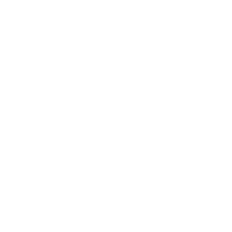 CISA Logo White